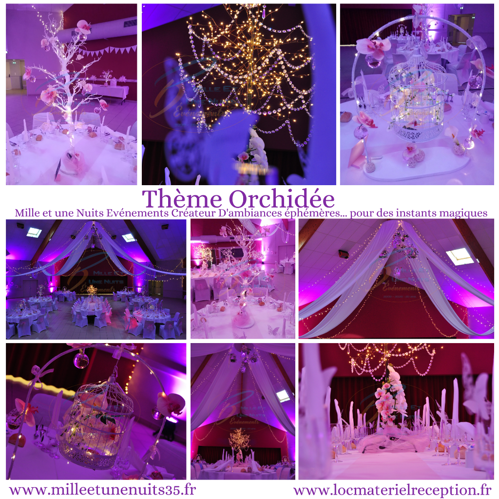 Décoration thème Orchidée
Votre Décoration Mariage Sur l'ille et vilaine: Fougères, Vitré, Rennes, St Malo, Antrain. Mayenne: Laval. Manches: Avranches, Granville... mais aussi partout en région Bretagne, Normandie, Pays de la Loire...