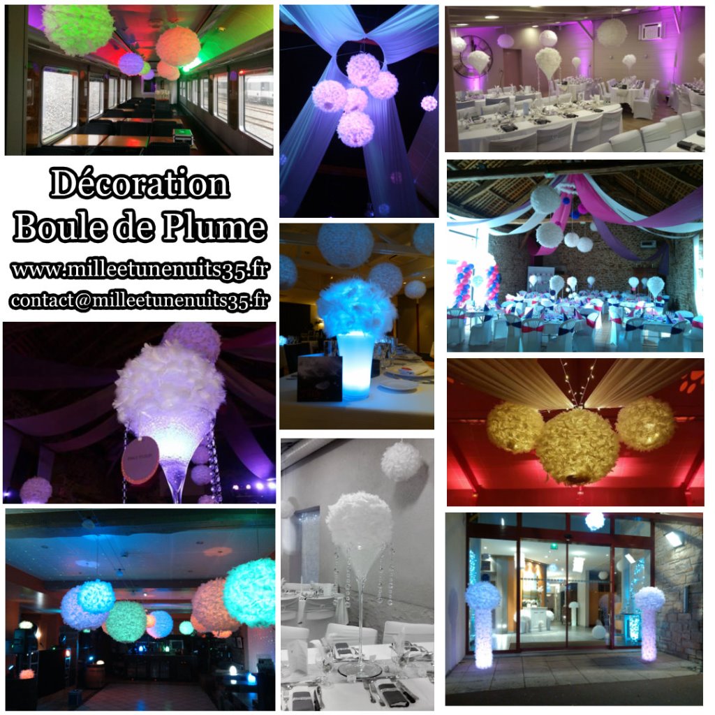 Décoration Boule de plume
Votre Décoration Mariage Sur l'ille et vilaine: Fougères, Vitré, Rennes, St Malo, Antrain. Mayenne: Laval. Manches: Avranches, Granville... mais aussi partout en région Bretagne, Normandie, Pays de la Loire...