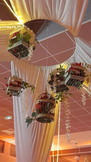 Centre plafond cage à oiseau