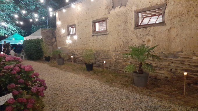 GUIRLANDE GUINGUETTE 15M