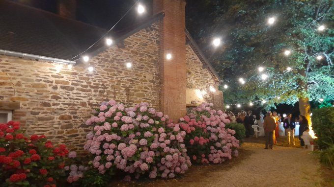 GUIRLANDE GUINGUETTE 15M