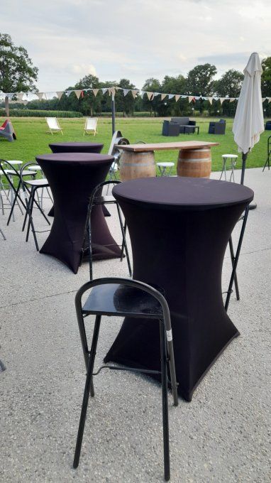 Domaine haras de la chaine a st pierre des landes 53 mayennes