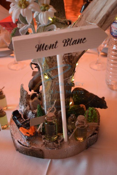 CENTRE DE TABLE THEME MONTAGNE