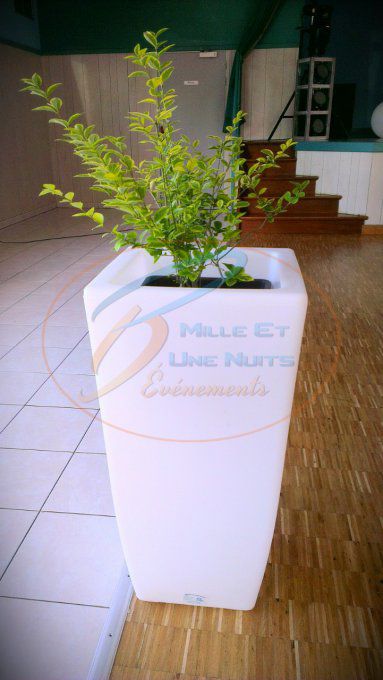 POT DE FLEUR LED CARRE