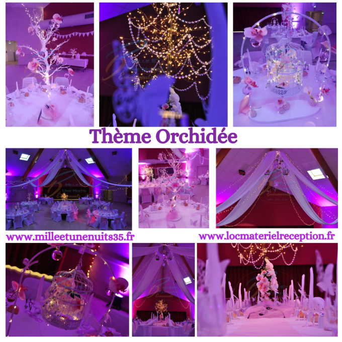 Décoration Thème Orchidée